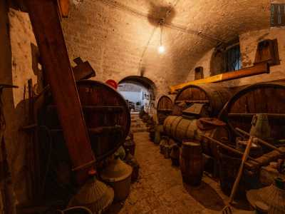 Scendiamo quindi nelle vecchie cantine dove troviamo grandi botti in legno scuro che fino a un quarant�anni anni fa conservavano vino di �nobile� produzione propria